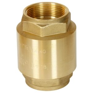 100mm Brass Spring Check Valve